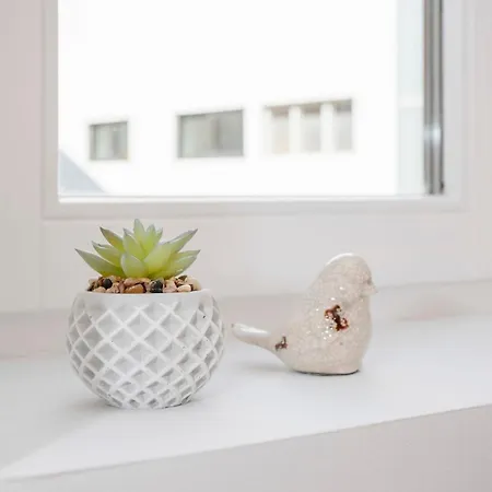 Apartment Liiiving In - Alma De Santa Catarina *
